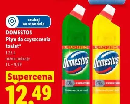 Płyn do czyszczenia toalet Domestos XL Pack