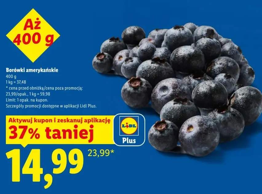Borówki amerykańskie