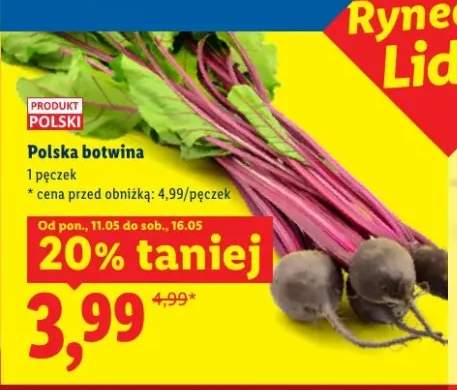 Polska botwina