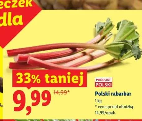 Polski rabarbar