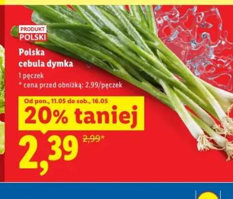 Polska cebula dymka