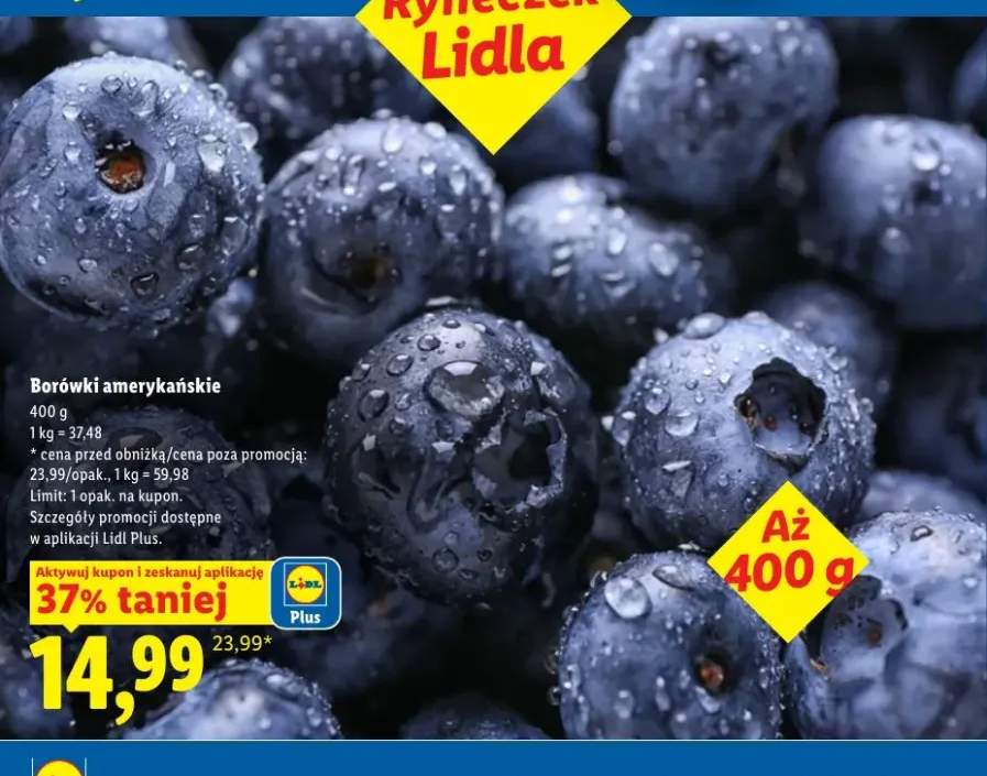 Borówki amerykańskie