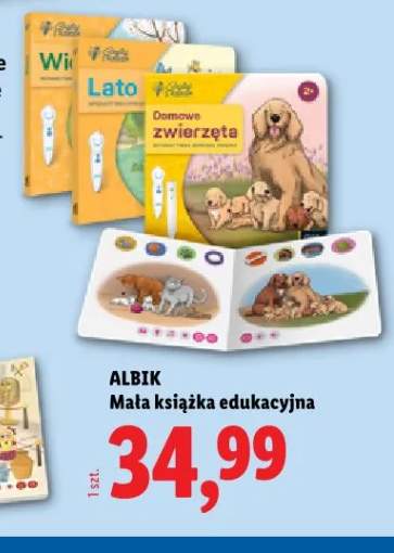 Mała książka edukacyjna ALBIK Wiosna