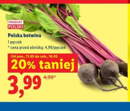 Botwina polska