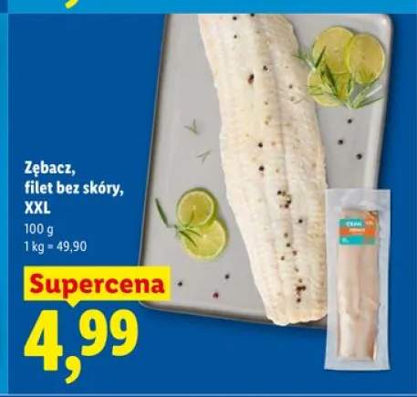 Zębacz filet bez skóry XXL