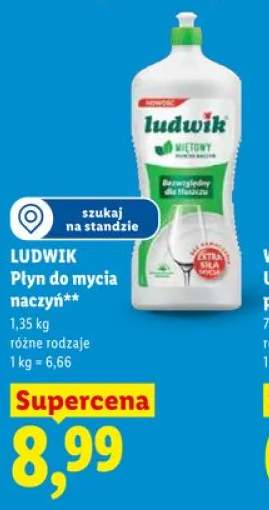 Płyn do mycia naczyń Ludwik
