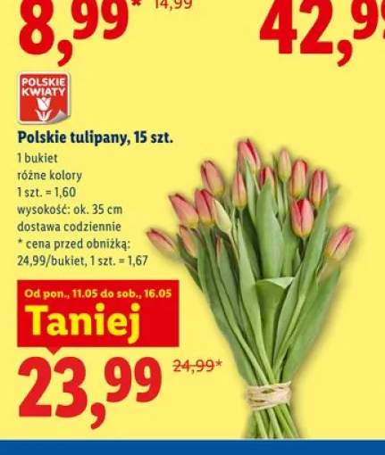 Polskie tulipany 15-pak