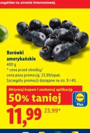 Borówki amerykańskie