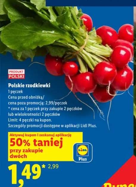 Rzodkiewki polskie