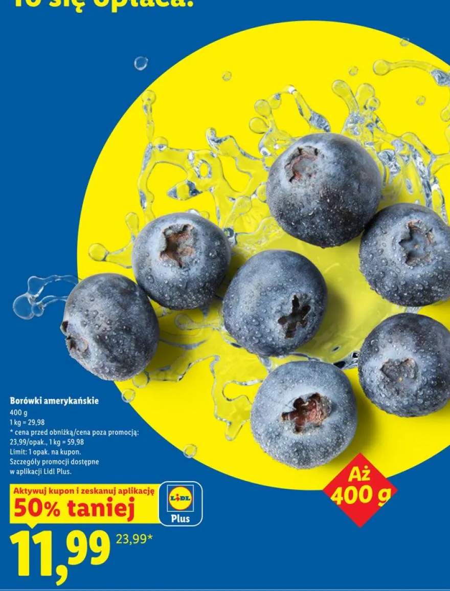 Borówki amerykańskie