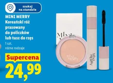 Koreański róż prasowany do policzków MINI MERRY