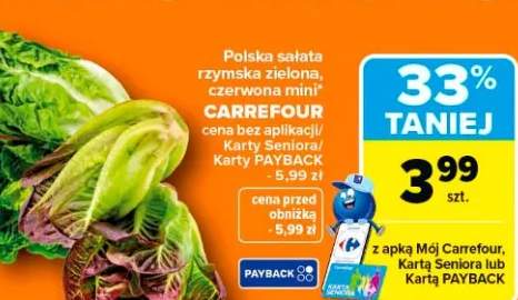 sałata rzymska