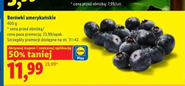 Borówki amerykańskie