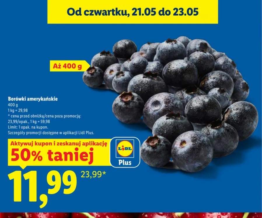 Borówki amerykańskie