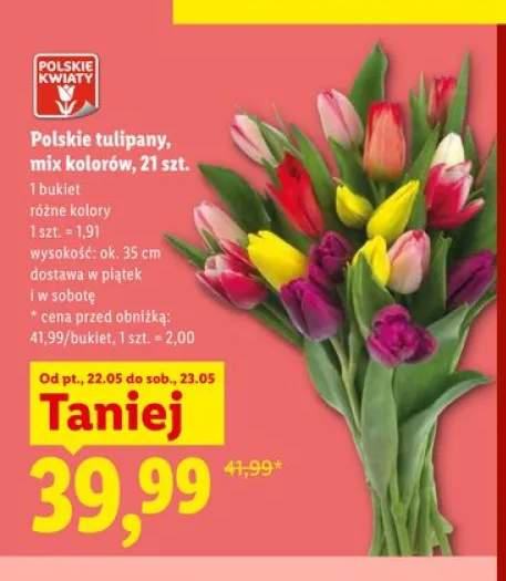 Polskie tulipany Polskie Kwiaty mix kolorów 21-pak