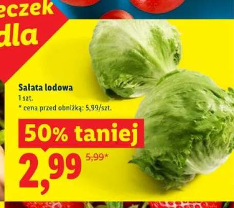 Sałata lodowa