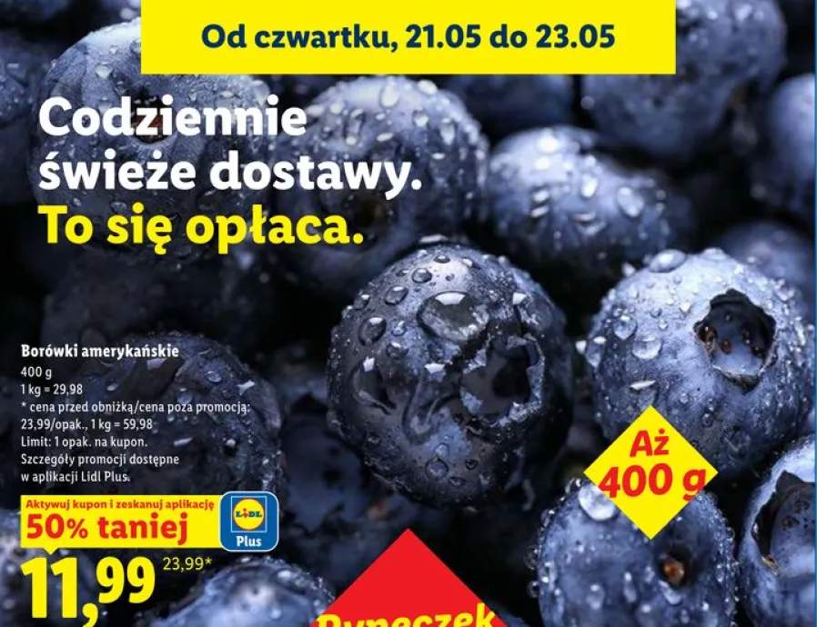 Borówki amerykańskie