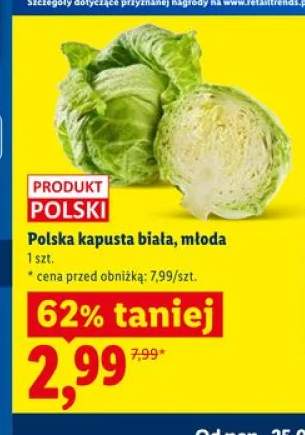 Polska kapusta biała młoda