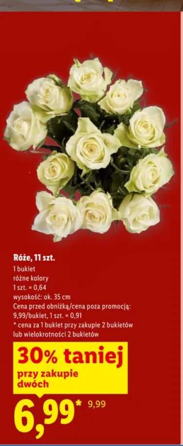 Róże 11szt. wys. ok. 35cm