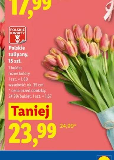 Polskie tulipany wys. ok. 35cm