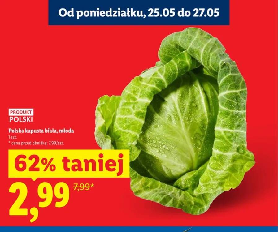 Polska kapusta biała młoda