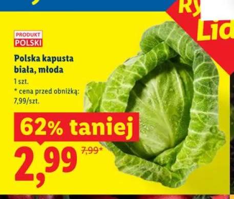Polska kapusta biała młoda