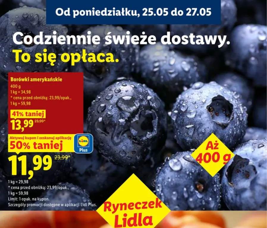 Borówki amerykańskie