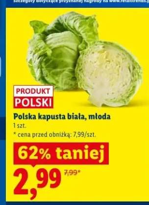Polska kapusta biała młoda