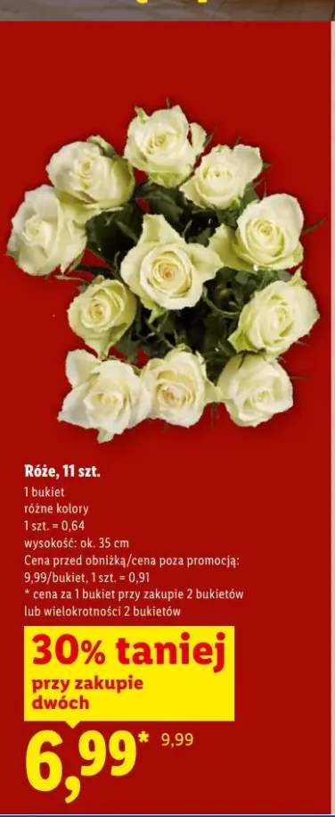 Róże 11szt. wys. ok. 35cm