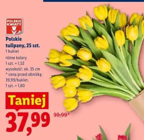 Polskie tulipany wys. ok. 35cm