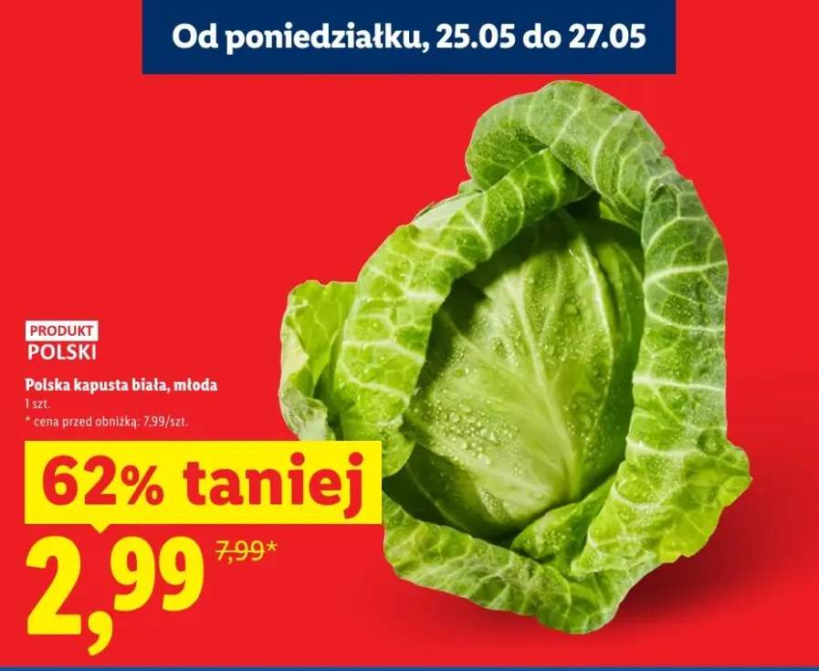 Polska kapusta biała młoda
