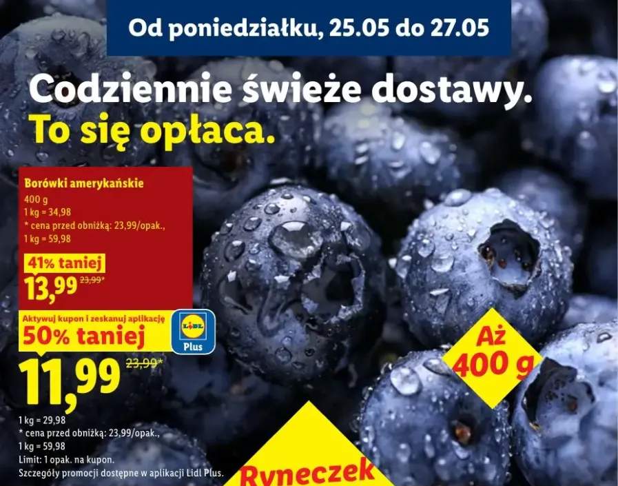 Borówki amerykańskie