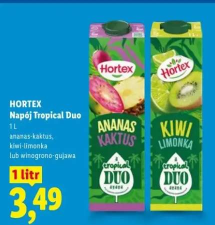 Napój Tropical Duo Hortex ananas-kaktus