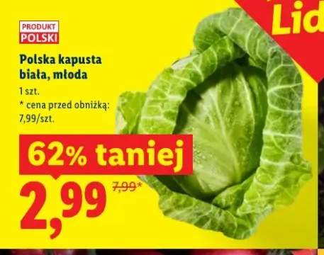 Polska kapusta biała młoda