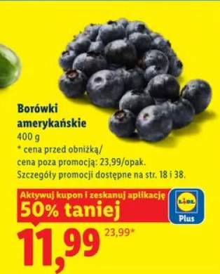 Borówki amerykańskie
