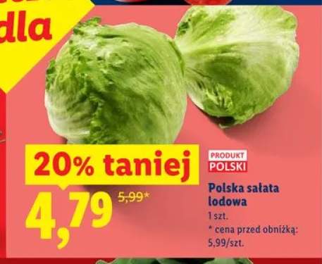 Polska sałata lodowa