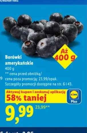 Borówki amerykańskie