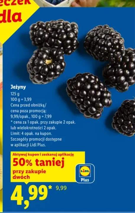 Jeżyny