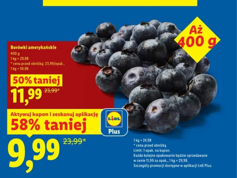 Borówki amerykańskie