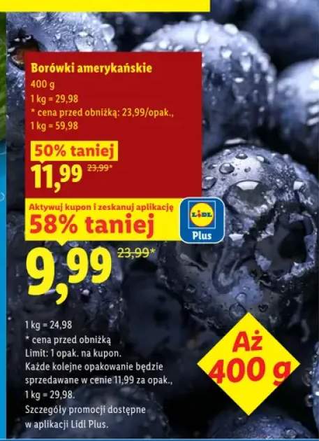 Borówki amerykańskie