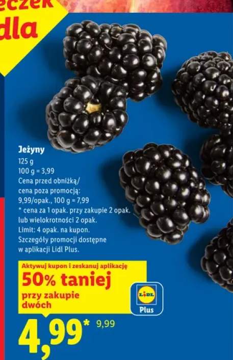 Jeżyny