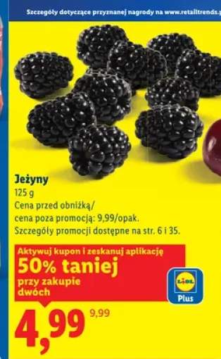 Jeżyny