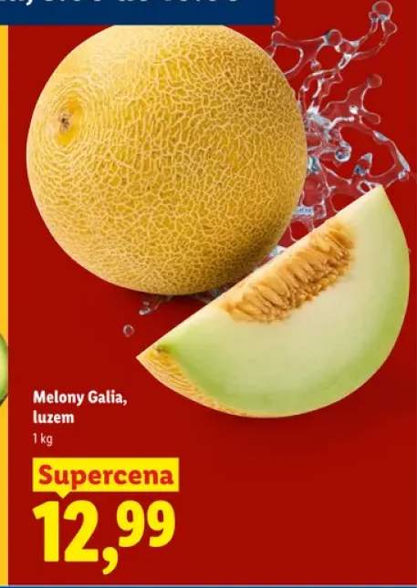 Melon Galia luzem