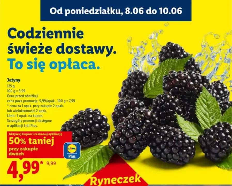 Jeżyny