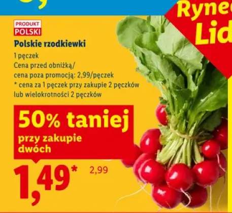 Rzodkiewki polskie