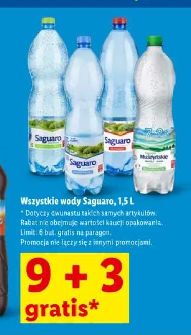 Woda Saguaro Muszyńskie