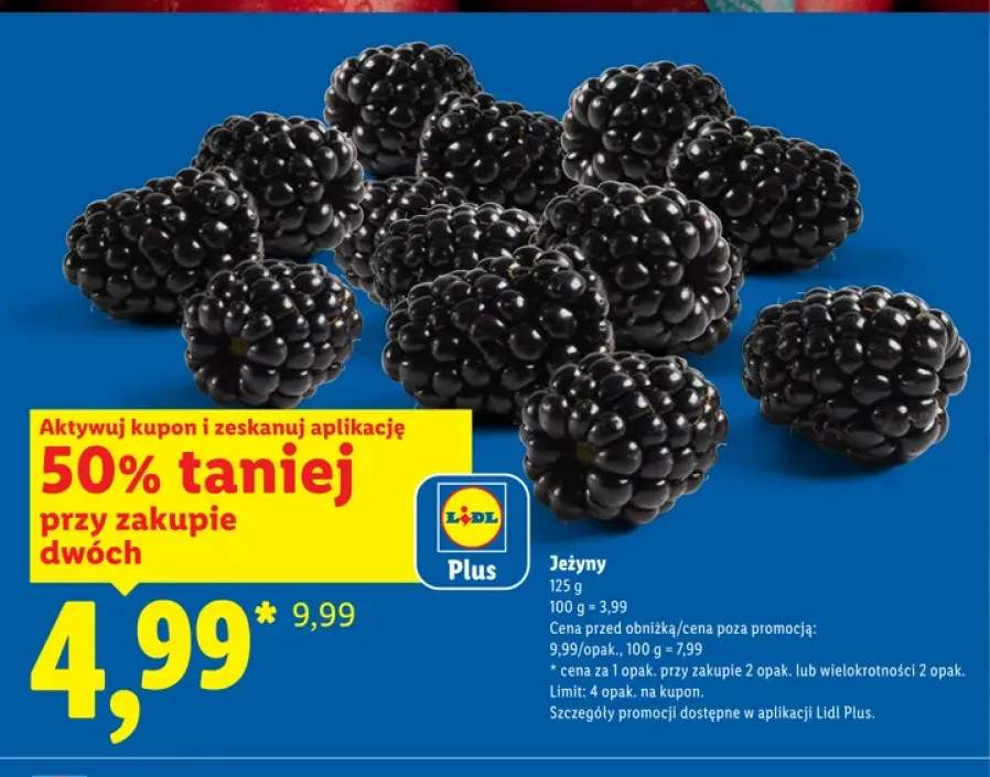 Jeżyny