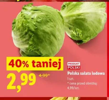Sałata lodowa polska