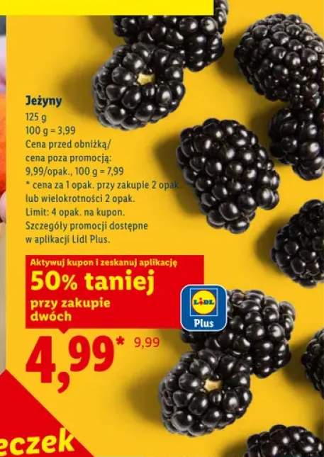 Jeżyny