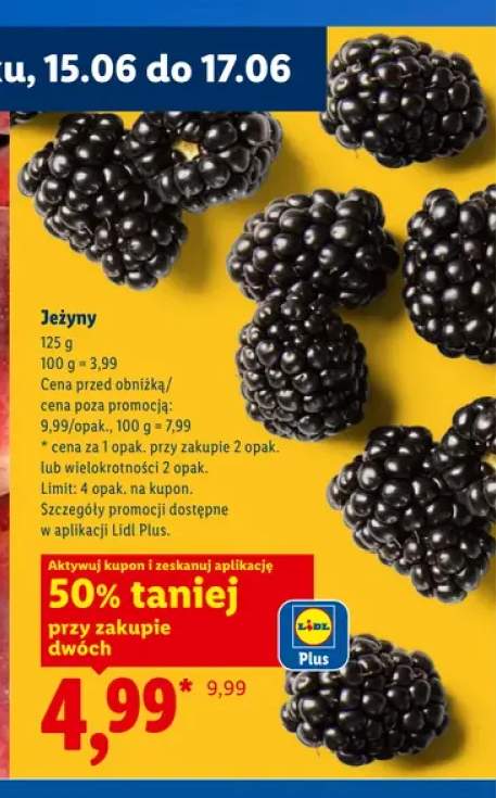 Jeżyny